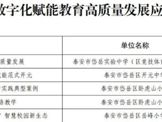 岱岳区五项案例入选市级教育案例！