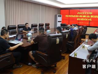 丹江口市林业局：启动松树钻蛀类害虫系统调查 筑牢生态安全屏障