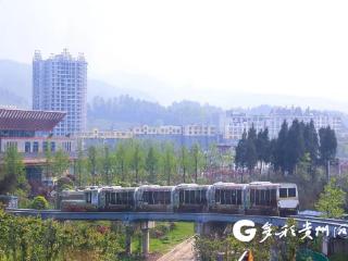 习水：习部森林观光小火车焕新出发 开启“慢时光”自然之旅
