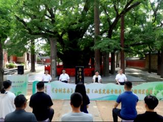 四千年树龄！山东日照莒县定林寺银杏树登上《古树名木》特种邮票