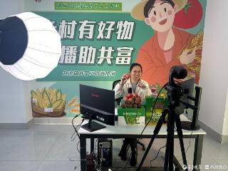 党建红引擎 激活共富新动能丨德州赵虎镇探路乡村振兴齐鲁样板