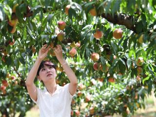 贵阳：“线上+线下”点燃乡村“甜蜜经济”