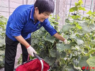 东平县梯门镇：科技赋能“聚宝棚” 硕果累累“富满仓”