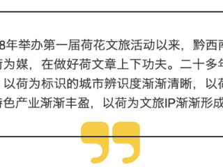 让更多的人“因荷而来”——黔西南安龙做好“荷”文章速写