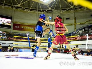 500名小拳手莱西开战，三大组别激战正酣