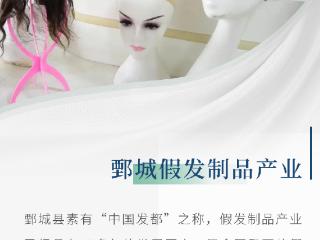 产业链上的山东好品牌｜菏泽特色产业“繁花开”