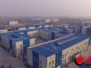产业链上的山东好品牌|“专精特新”企业山东瑞菲特：成为“冻干”行业标杆