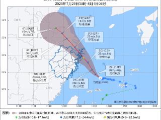 闻“风”而动！浙江各地严阵以待 全力防御台风