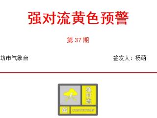 潍坊气象|强对流预警：强降雨+10级大风，防汛四级应急响应