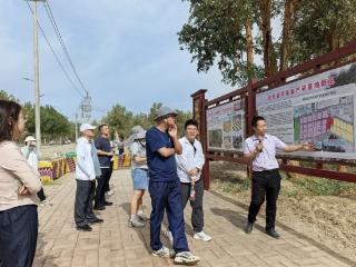 从“戈壁仙草”看防沙治沙的“新疆智慧”