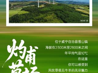如果城市有颜色，毕节是_____