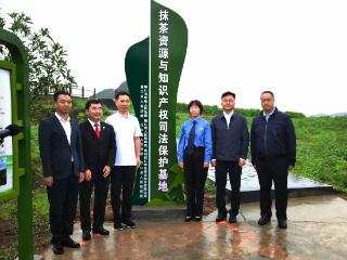 “检察蓝”为特色产业保驾护航——全省检察机关深入推进知识产权保护