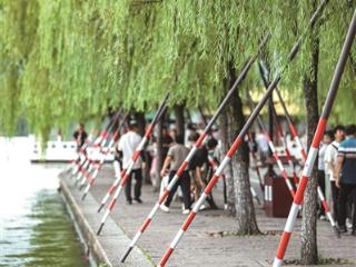 大雨 暴雨 大暴雨 台风 “竹节草”持续影响江浙沪