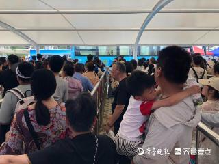 烟台养马岛“最严”交通管制实行，进岛难不难？游得好不好？