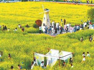 厦门积极探索城郊型农业农村发展新路 推动农业增效益、农村增活力、农民增收入