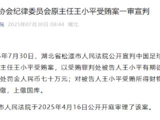 中国足球协会纪律委员会原主任王小平一审获刑10年6个月