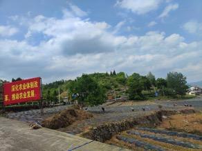 织金农商银行：精准滴灌金融活水 润泽乡村振兴沃土