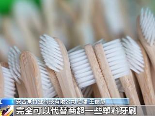 从牙刷到交通护栏，“以竹代塑”让竹子可以“百变”