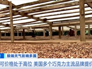 巧克力又掀涨价潮：雀巢、费列罗、好时等多个品牌集体提价