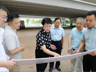 许伟实地调研“畅联工程”、欧潭数智岛项目建设工作
