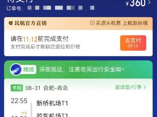 “没有中间商赚差价”的机票便宜吗？ 大皖新闻记者体验民航版“12306”
