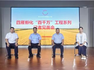 四季果香满棚室 临沭朝露农场书写振兴答卷