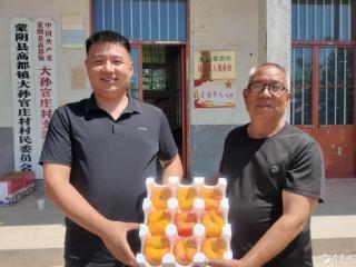 果然财经｜百年桃林的甜蜜新传，看蒙阴新老农人如何“桃香接力”