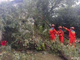 防内涝、安置避险群众……浙江各地防台进行时