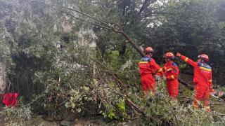 防内涝、安置避险群众……浙江各地防台进行时(图1)