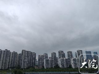 暴雨、大暴雨+8级左右阵风 “竹节草”携风带雨奔安徽而来