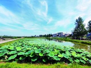 栖霞区生态补偿项目治水惠民