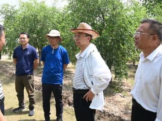 中国工程院院士、中国农业大学教授张福锁携团队到集团公司及控股企业调研座谈