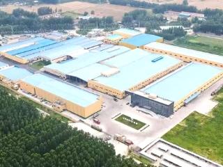 产业链上的山东好品牌丨菏泽盛庆食品有限公司：一根芦笋的全球产业传奇