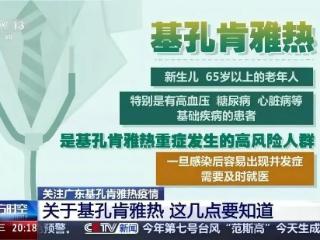 潍坊人请警惕基孔肯雅热！