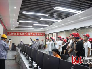 卢龙县开展“桑梓计划・人才入企青春行”活动