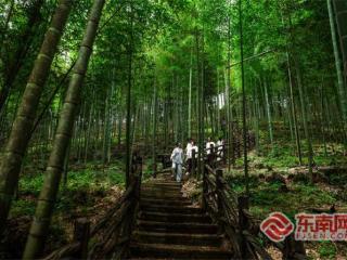 百竹园——三明宁化生态旅游新亮点