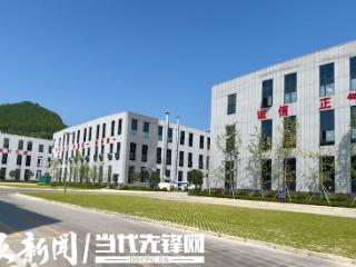“聪明”工厂造“干净”包装丨俊丰白酒配套产业园这样给名酒做“嫁衣裳”