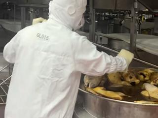 “心”质生产力驱动全链革新 周黑鸭重构卤味品质标杆