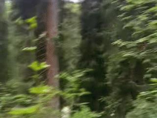 “我们身体里面流的是党和人民的血。”无人机丢后，唐山游客被新疆民警这句话破防了