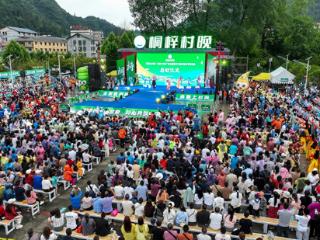 23℃夏天引12万“候鸟”旅居客，桐梓九坝镇靠“凉”变现超20亿元