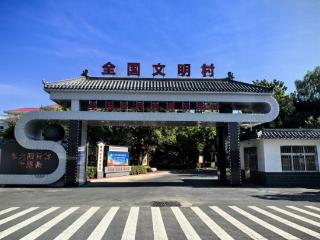 细“治”入微丨文化“活”起来 基层“智”起来