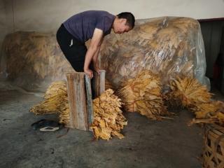广西隆林：小机器撬动大变革
