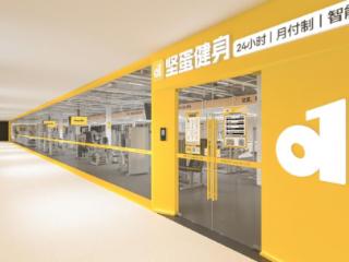 快速发展的坚蛋运动：创新、共赢与服务的制胜之道
