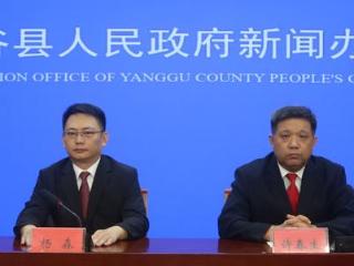 阳谷县打出一套“组合拳”挖掘消费潜力，激发消费活力