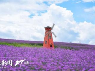 避暑纳凉到贵州｜夏日赏花，避暑游又添新景