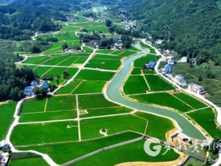 【粤黔协作·珠遵联璧】凤冈：珠遵协作共建乡村振兴特色带