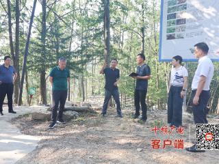 《中国绿色时报》深入十堰采访林下经济发展