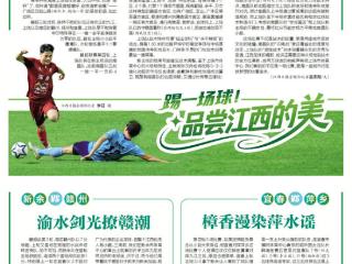 樟香漫染萍水谣