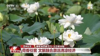 够清凉够丰富！更好玩、更好逛的“暑期游”来了