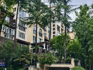 房价从4万+跌到2万+后，滟澜山成金沙湖二手房“顶流”